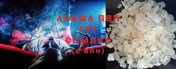 хмурый Белокуриха