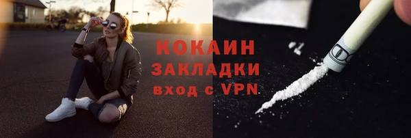 mdpv Богородицк