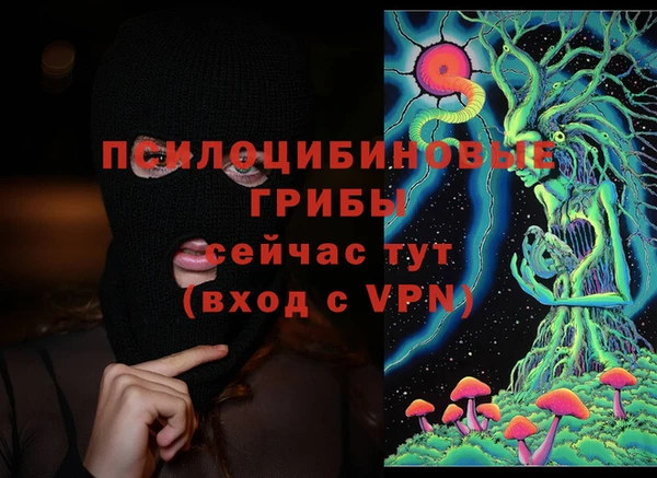 амф Богданович